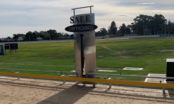 Sale Greyhound Club reopens with an upgraded racetrack and the community celebrates