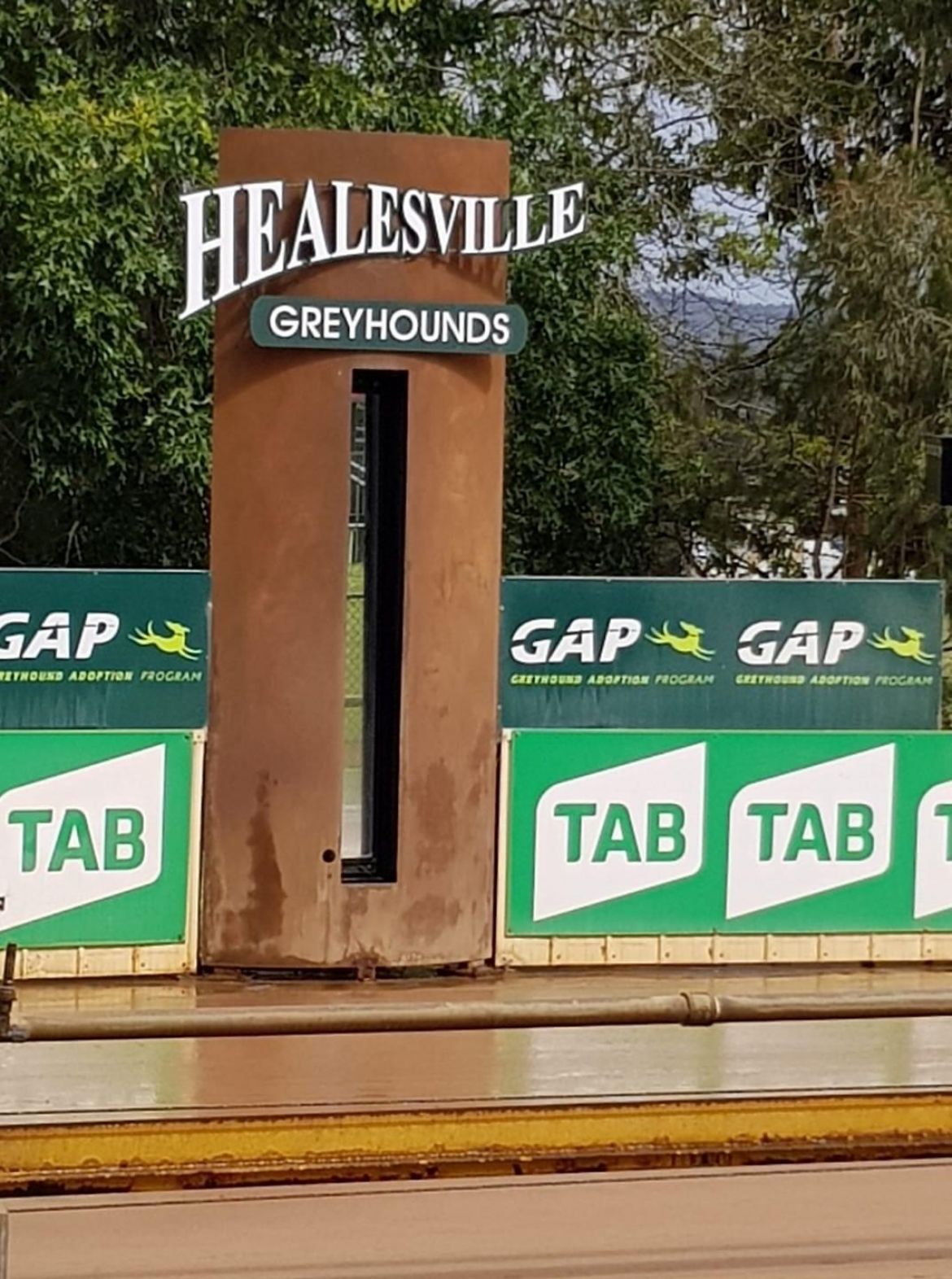 The Assistant Track Curator - Healesville
