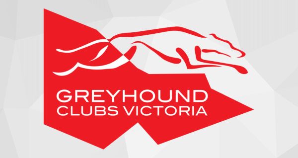 Greyhound racing legends honored at Shepparton Club's annual awards night